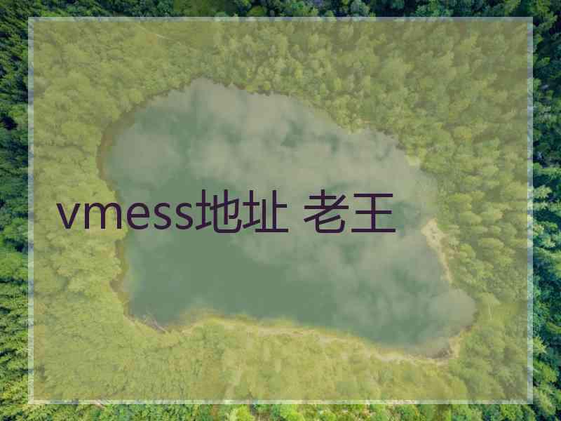 vmess地址 老王