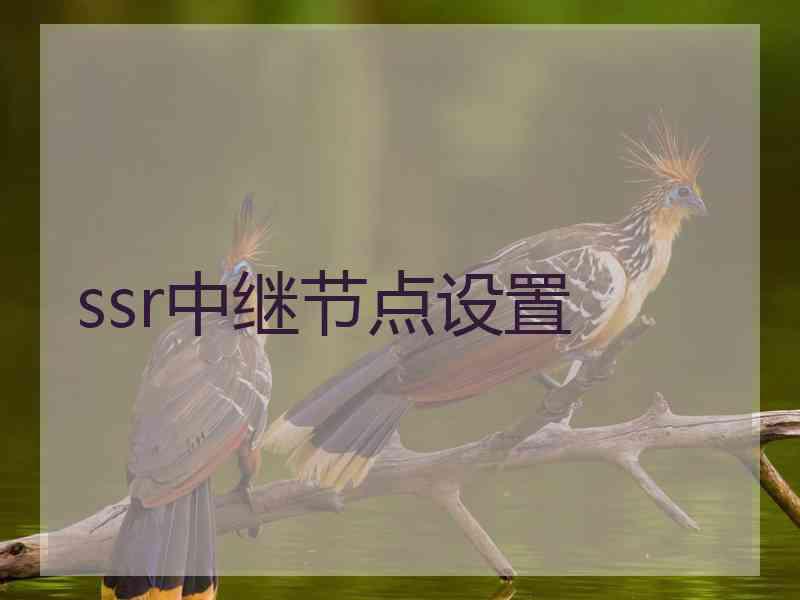 ssr中继节点设置