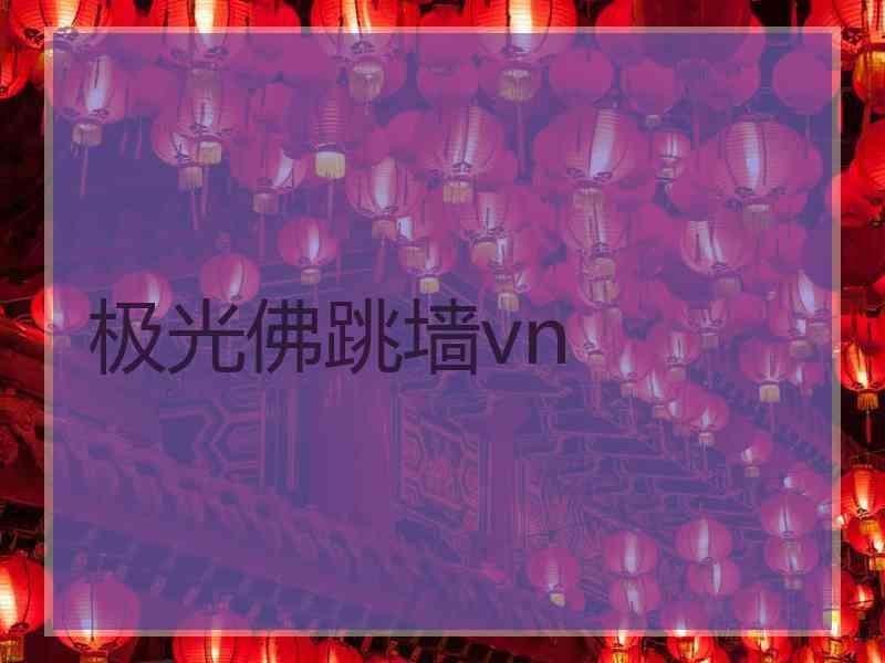 极光佛跳墙vn