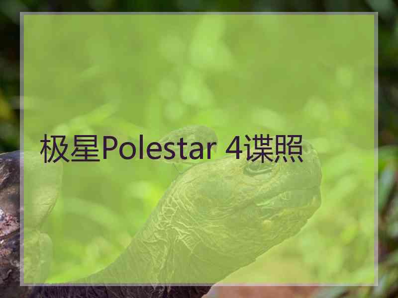 极星Polestar 4谍照