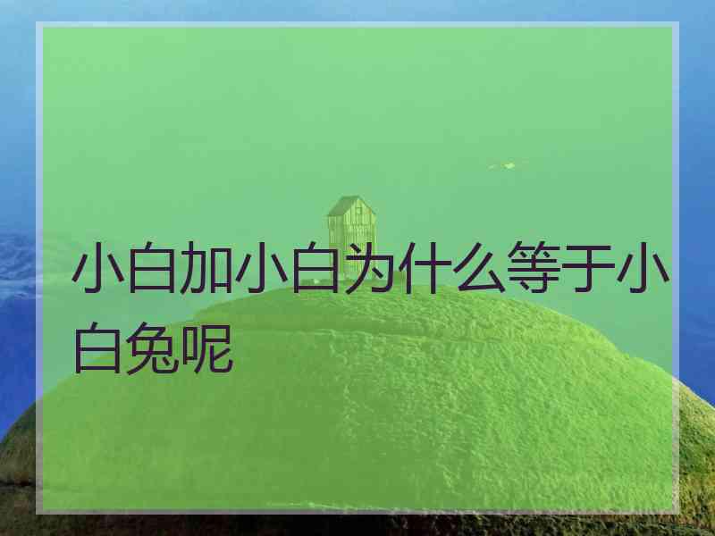 小白加小白为什么等于小白兔呢