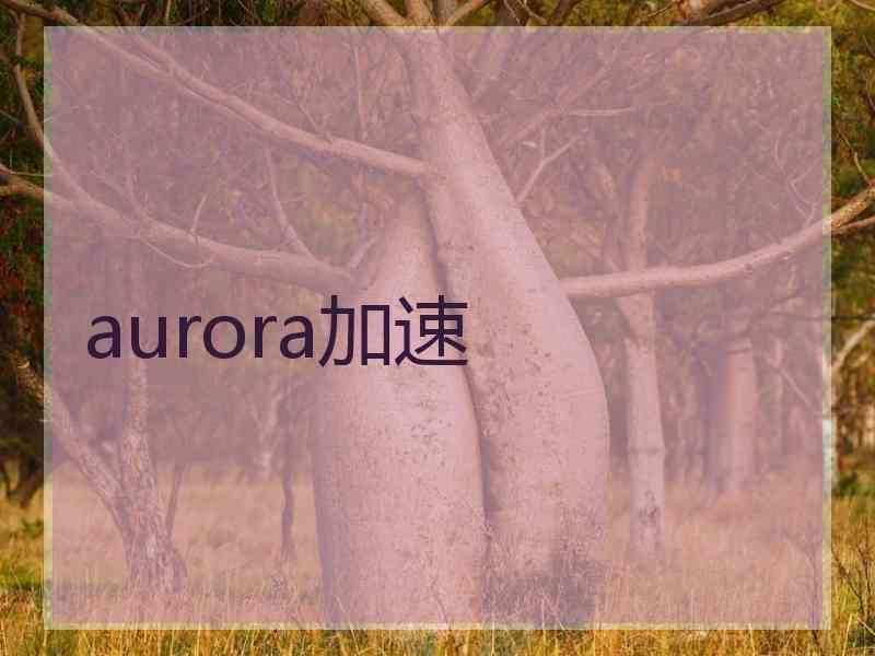 aurora加速