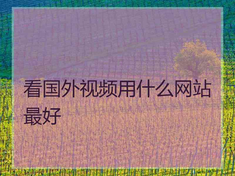 看国外视频用什么网站最好