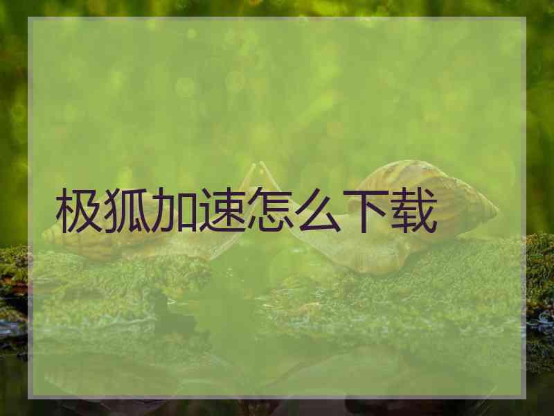 极狐加速怎么下载