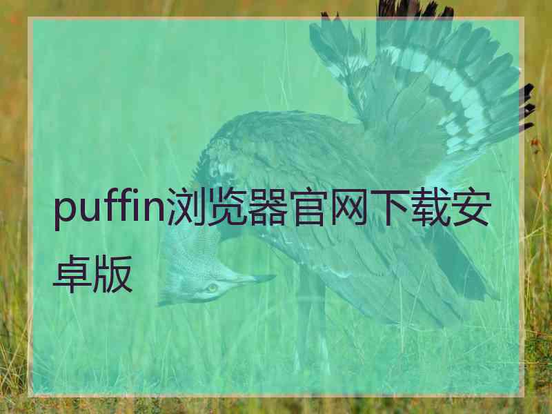 puffin浏览器官网下载安卓版