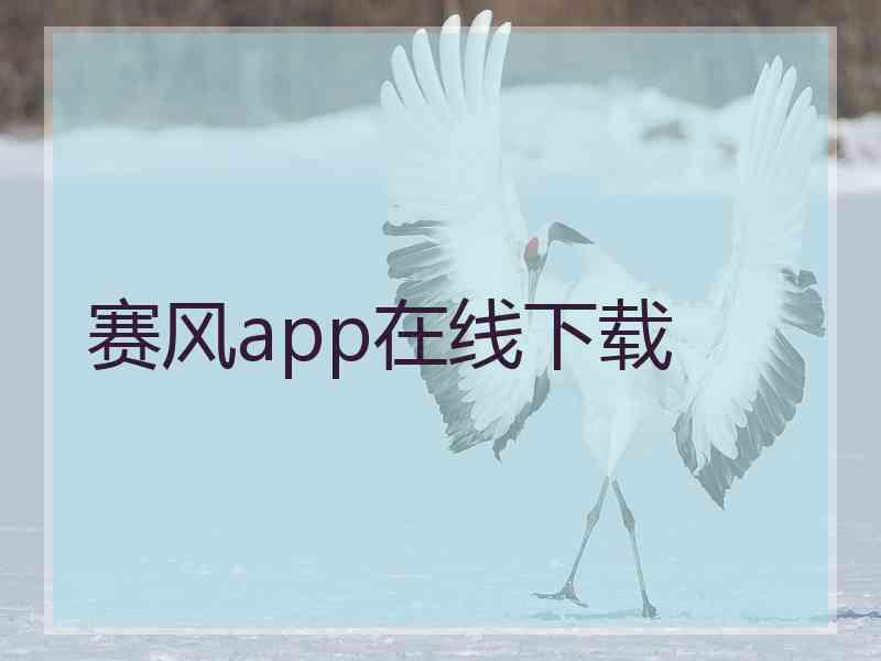 赛风app在线下载