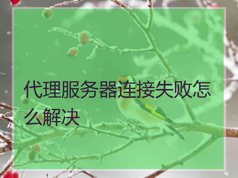 代理服务器连接失败怎么解决