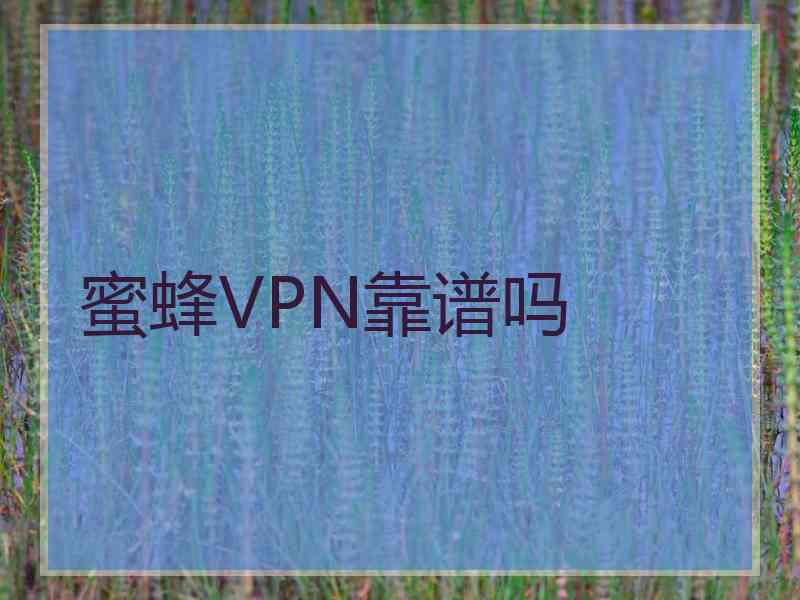 蜜蜂VPN靠谱吗