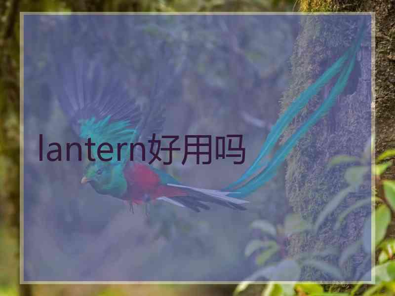 lantern好用吗