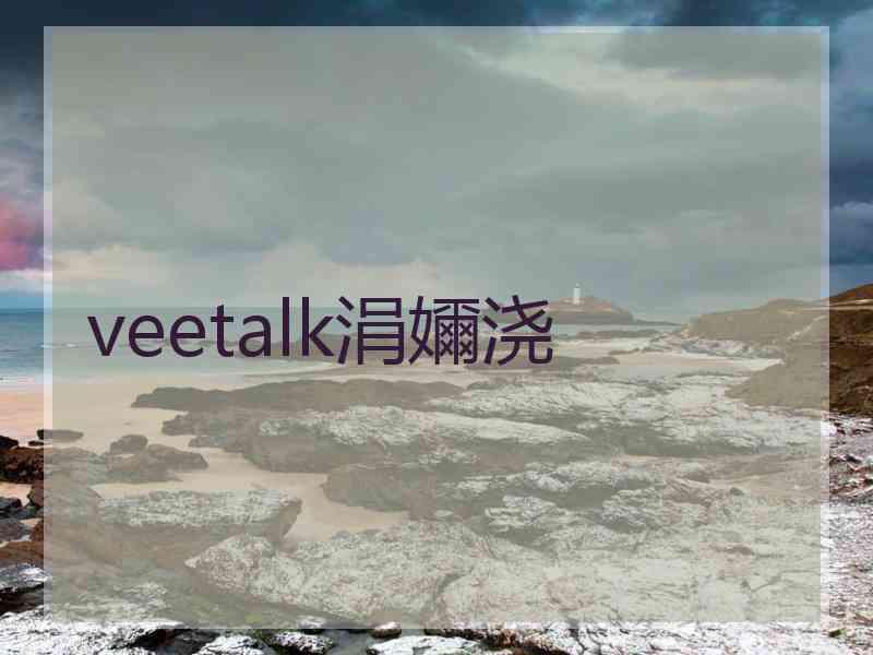 veetalk涓嬭浇