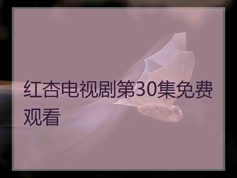 红杏电视剧第30集免费观看