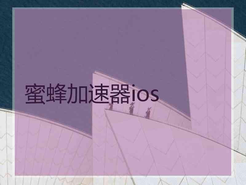 蜜蜂加速器ios