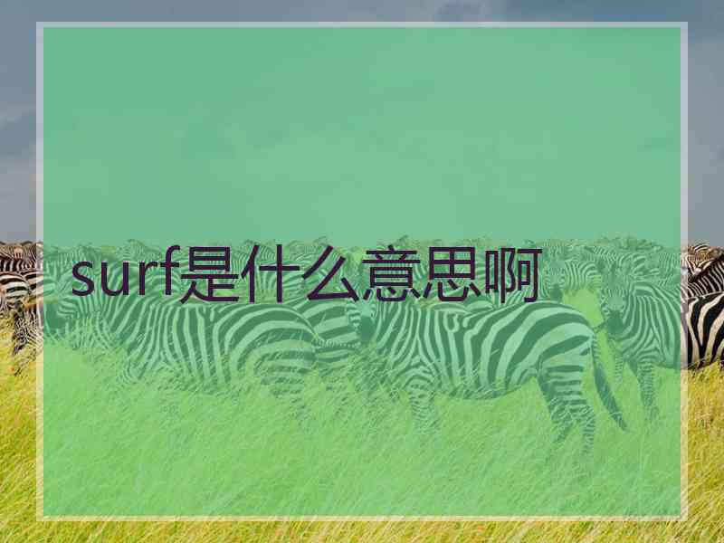 surf是什么意思啊