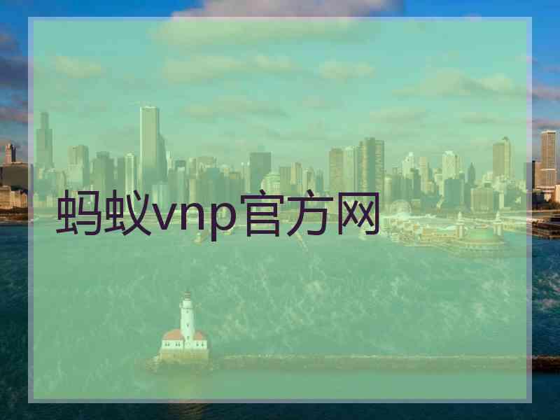 蚂蚁vnp官方网