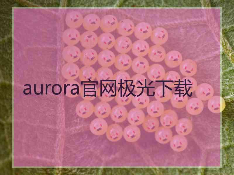 aurora官网极光下载