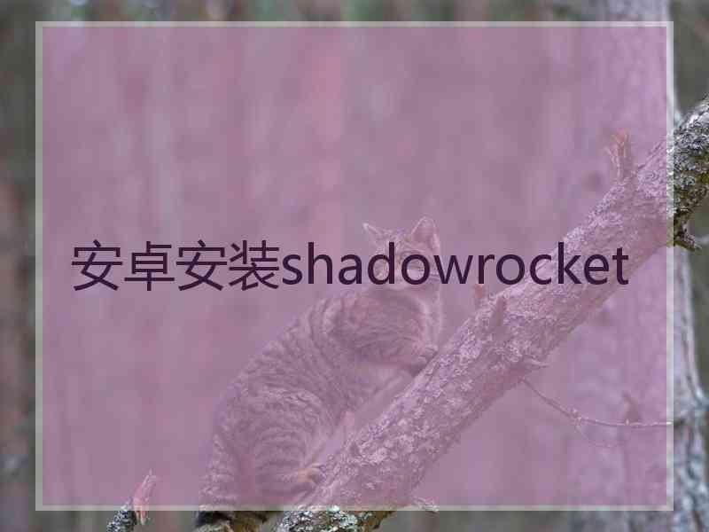 安卓安装shadowrocket