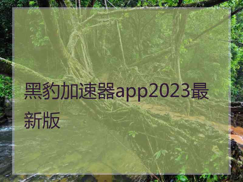 黑豹加速器app2023最新版