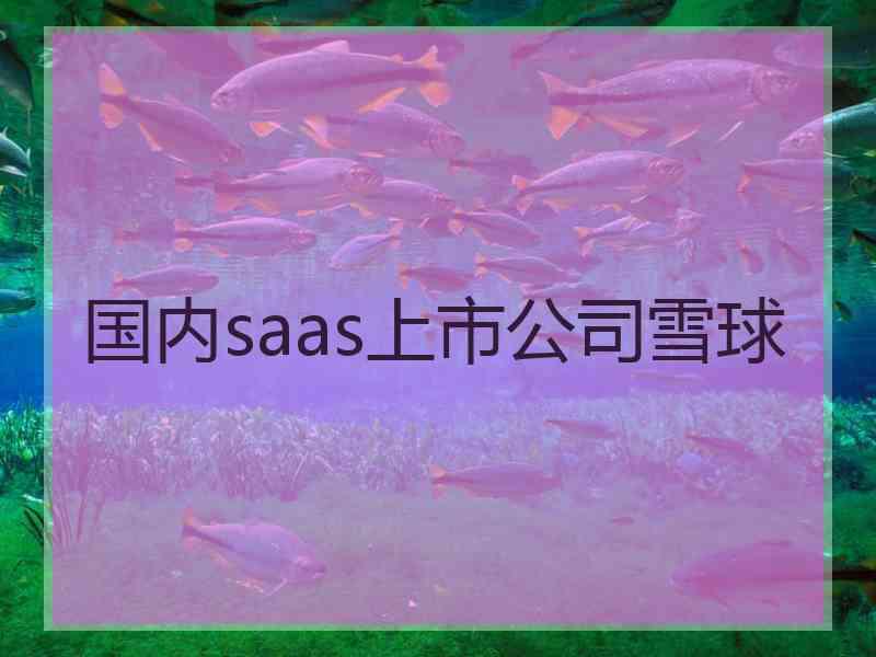 国内saas上市公司雪球