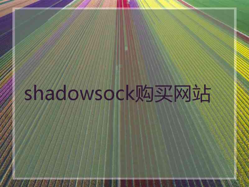 shadowsock购买网站