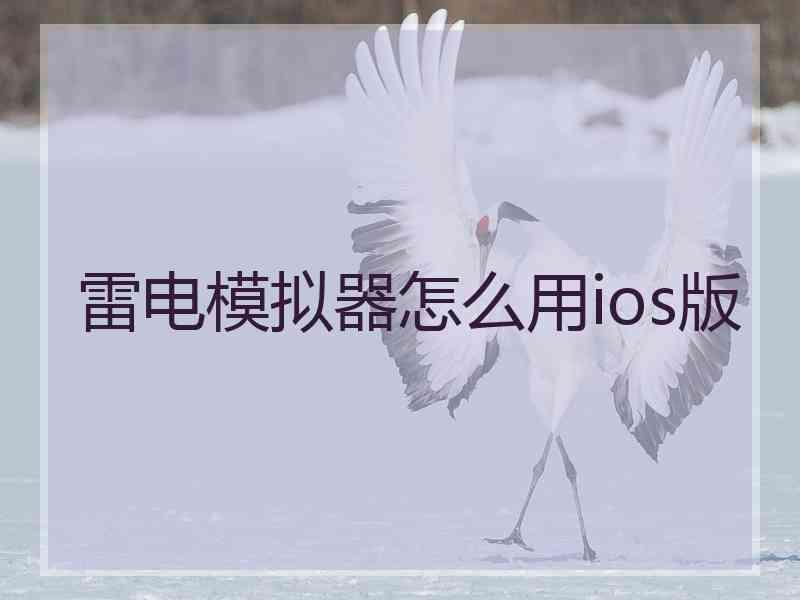 雷电模拟器怎么用ios版