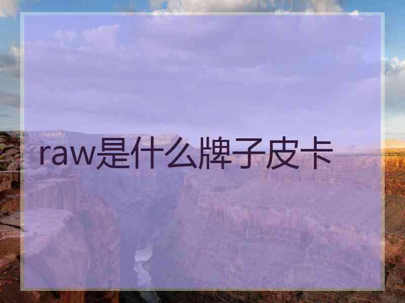 raw是什么牌子皮卡