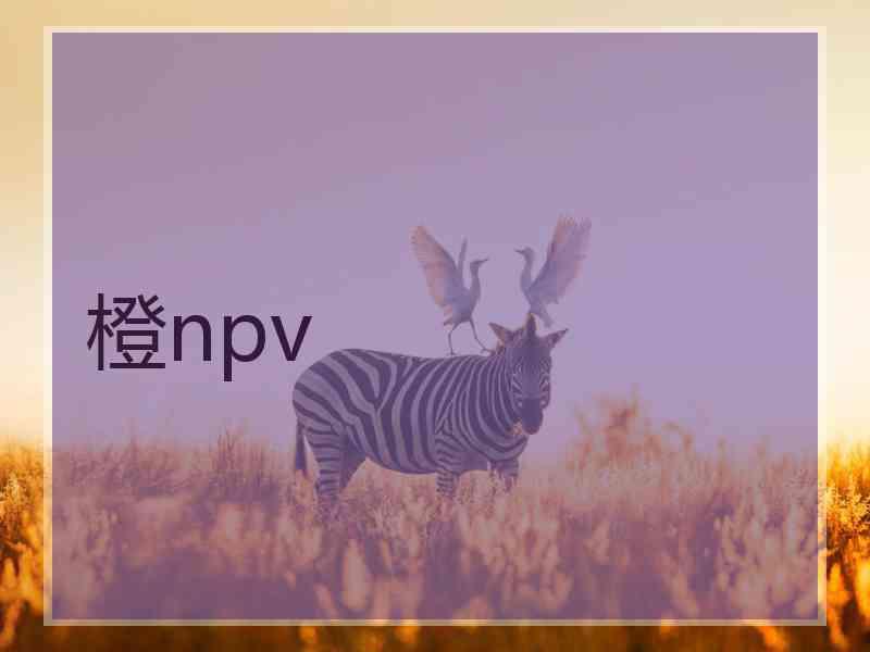 橙npv