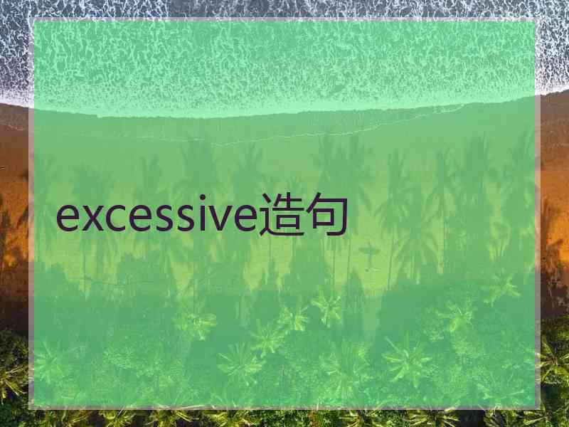 excessive造句