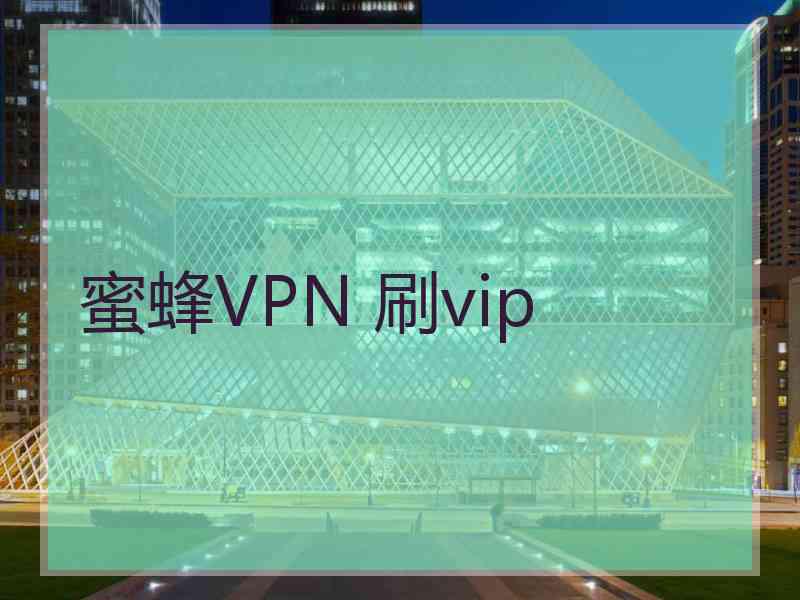 蜜蜂VPN 刷vip