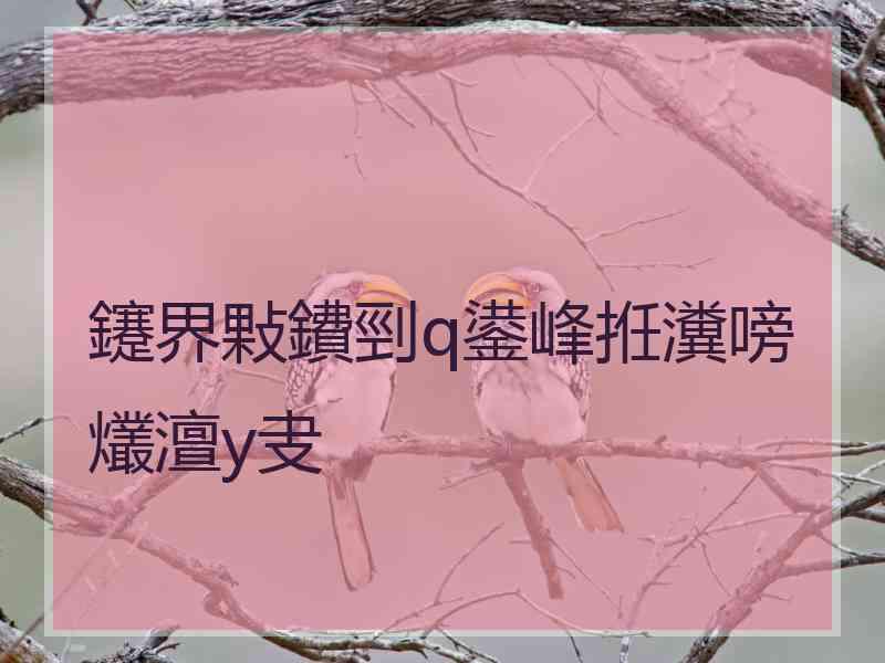 鑳界敤鐨剄q鍙峰拰瀵嗙爜澶у叏