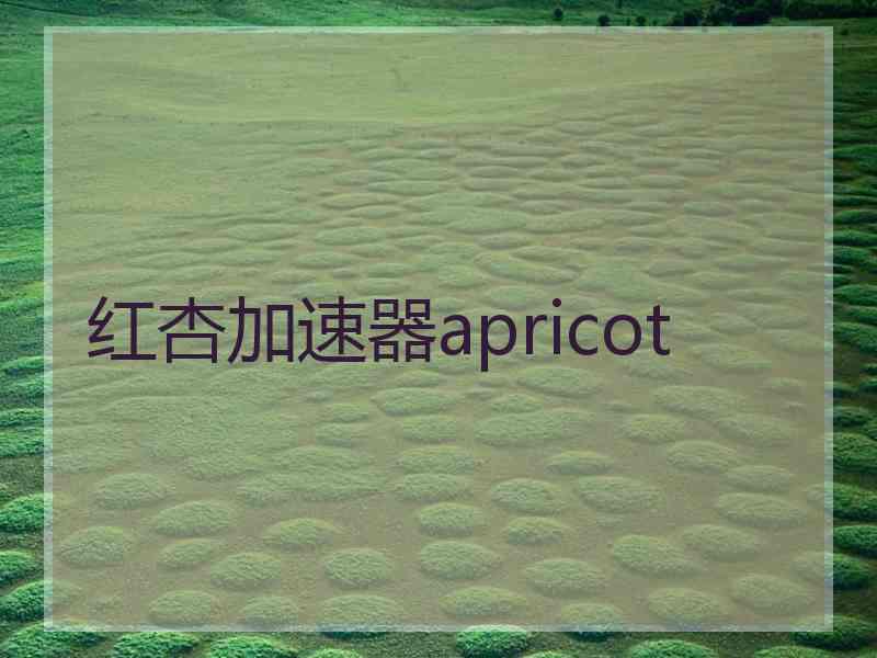 红杏加速器apricot