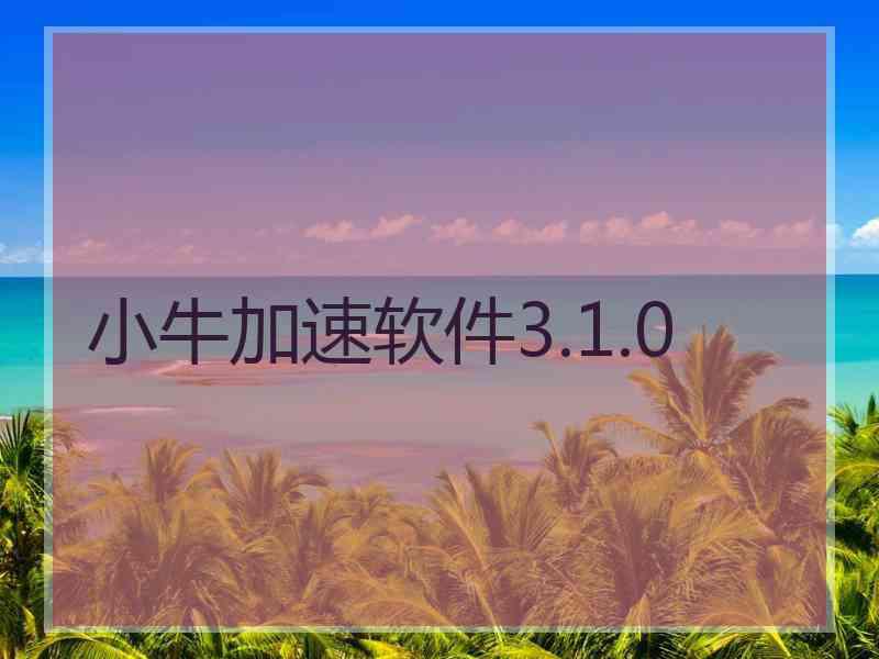 小牛加速软件3.1.0