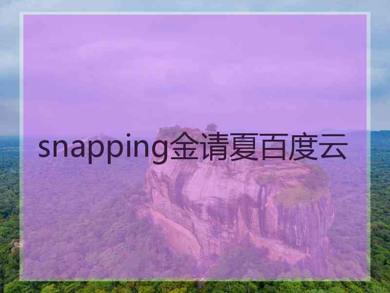 snapping金请夏百度云