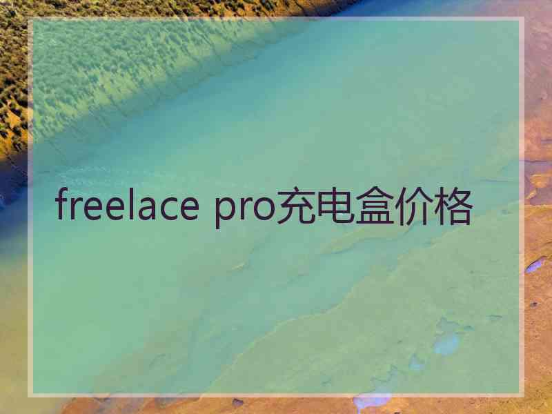 freelace pro充电盒价格