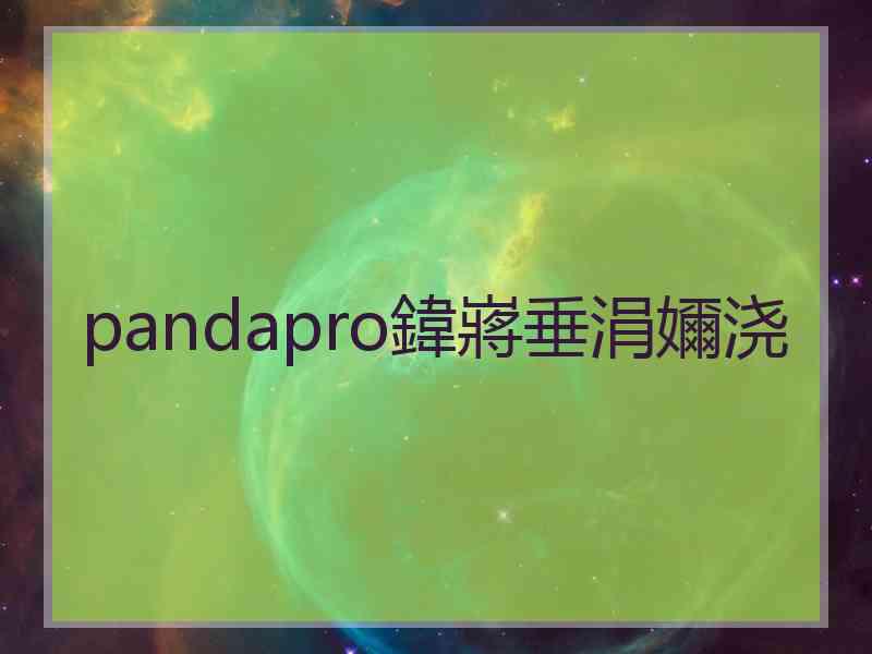 pandapro鍏嶈垂涓嬭浇