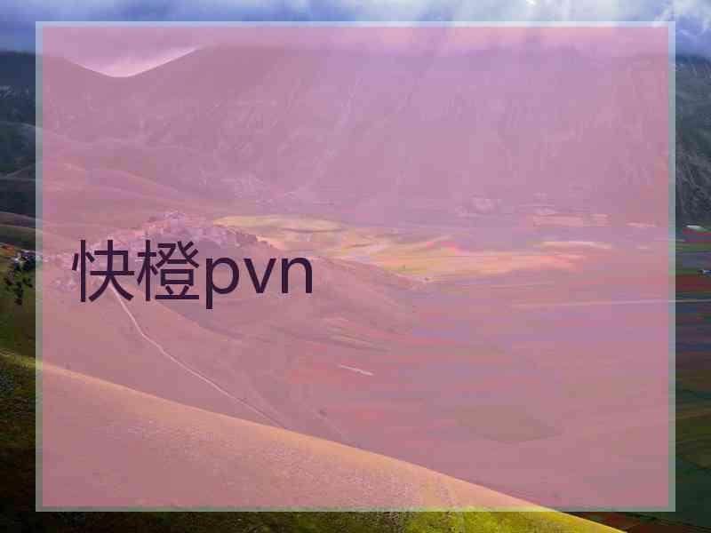 快橙pvn