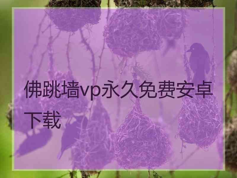 佛跳墙vp永久免费安卓下载