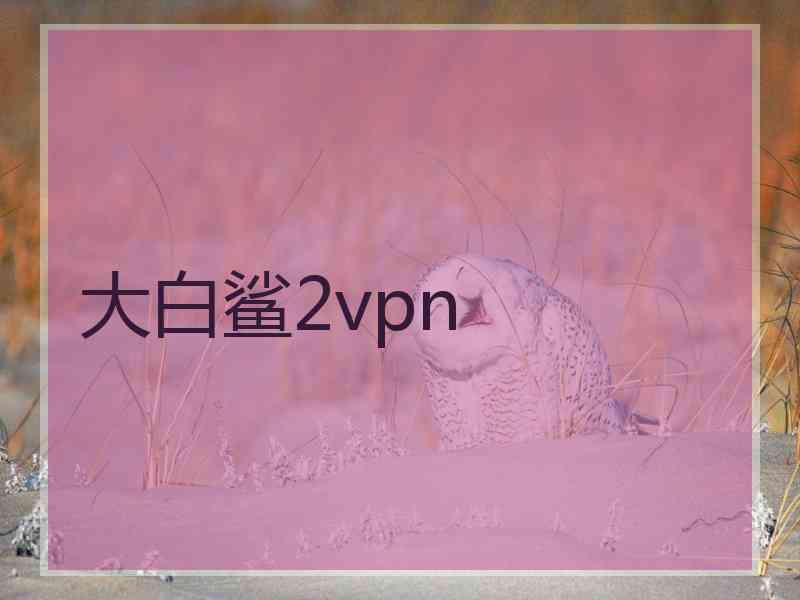 大白鲨2vpn