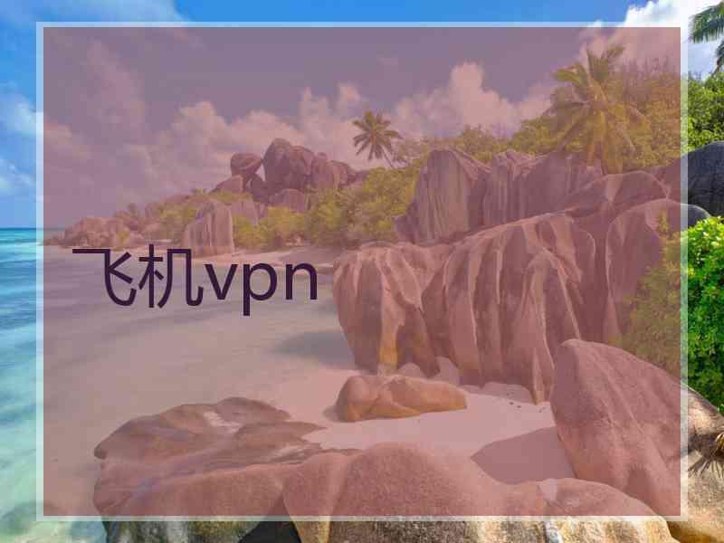 飞机vpn