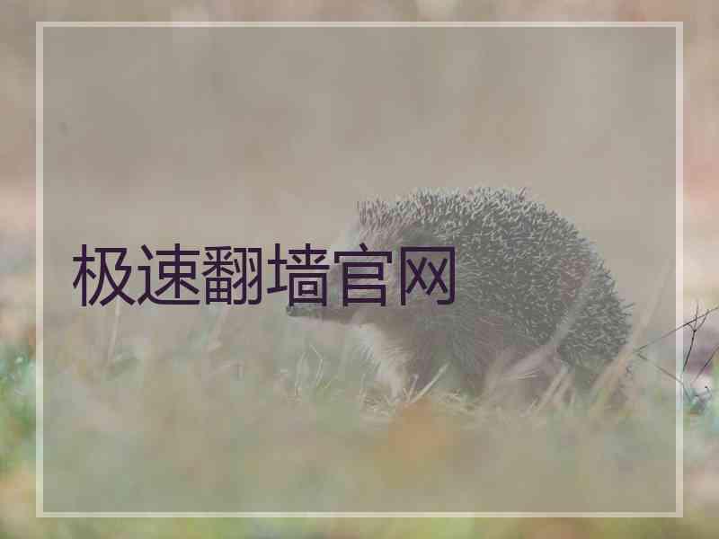 极速翻墙官网