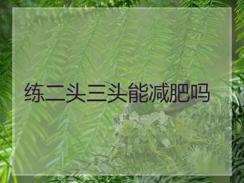 练二头三头能减肥吗