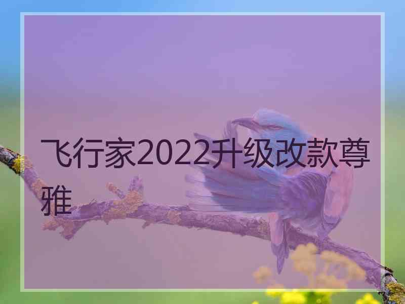 飞行家2022升级改款尊雅