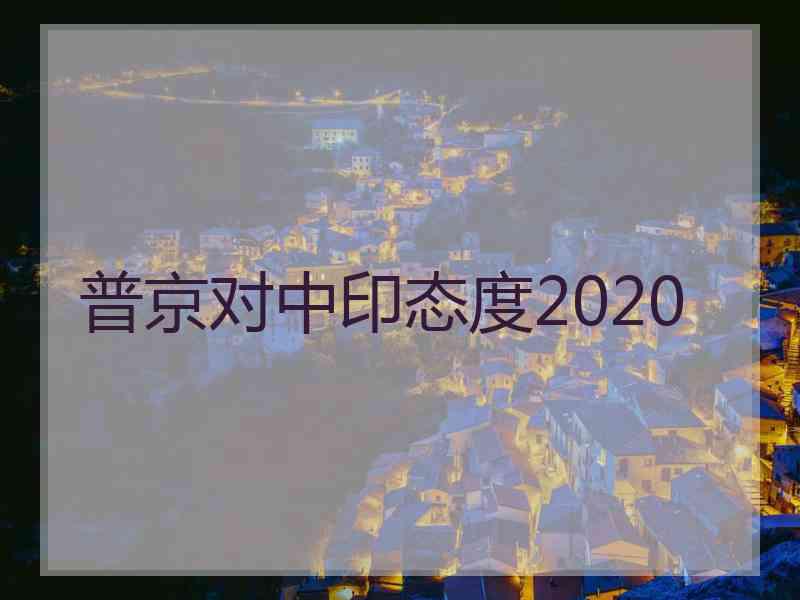 普京对中印态度2020