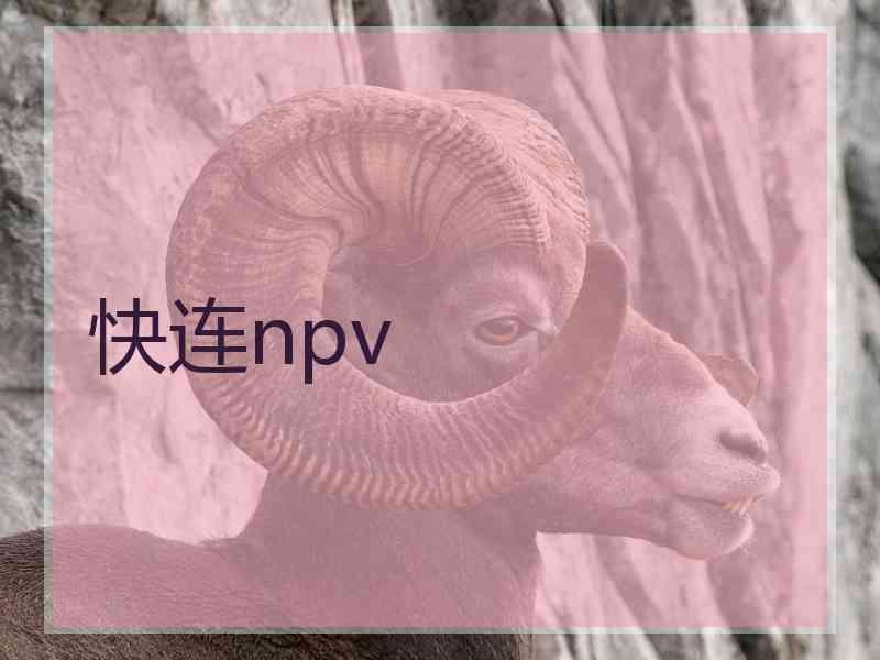 快连npv