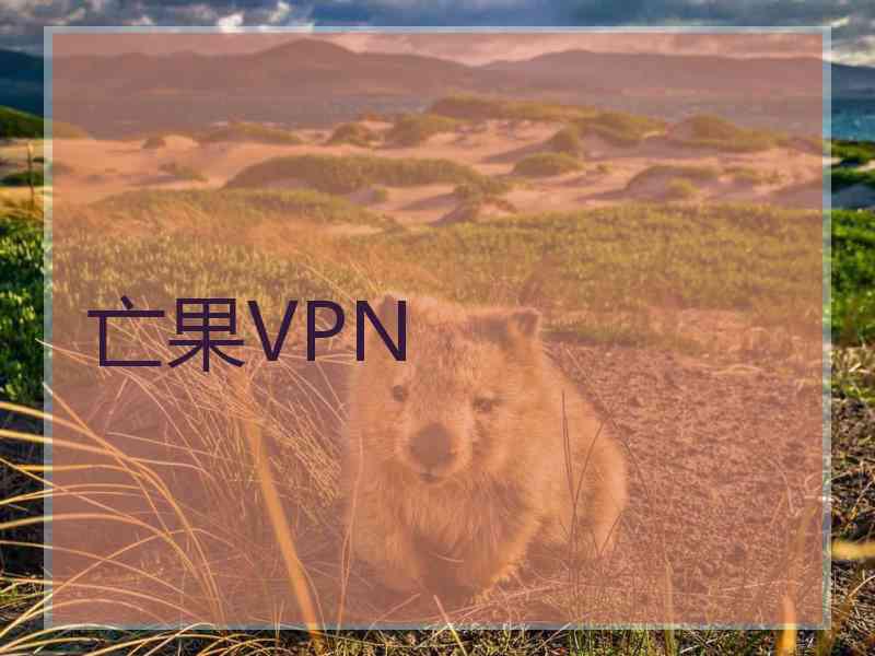 亡果VPN