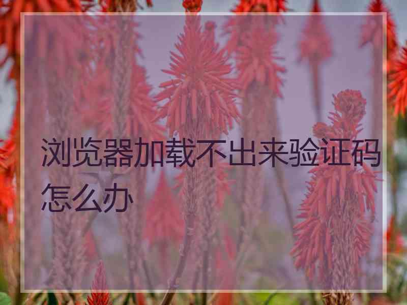 浏览器加载不出来验证码怎么办