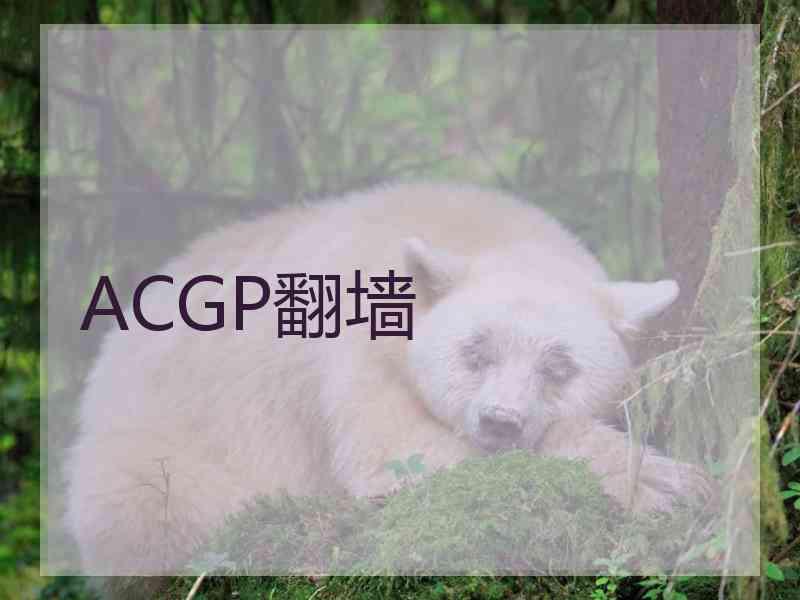 ACGP翻墙