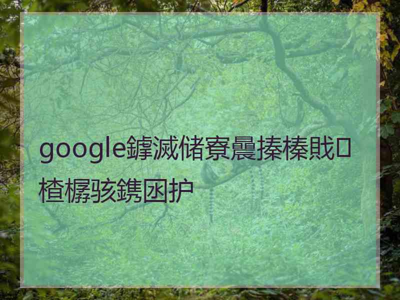 google鎼滅储寮曟搸榛戝楂樼骇鎸囦护