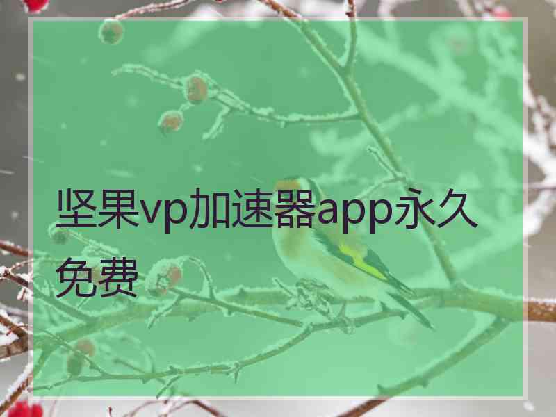 坚果vp加速器app永久免费