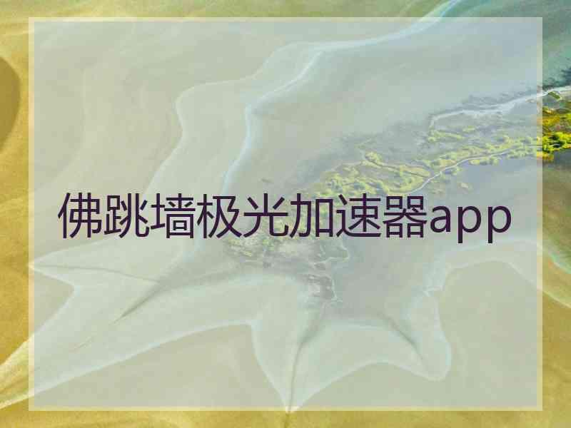 佛跳墙极光加速器app