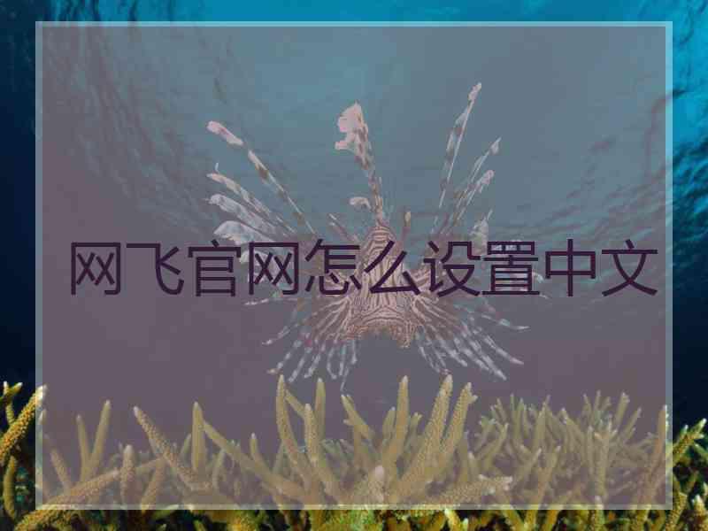 网飞官网怎么设置中文